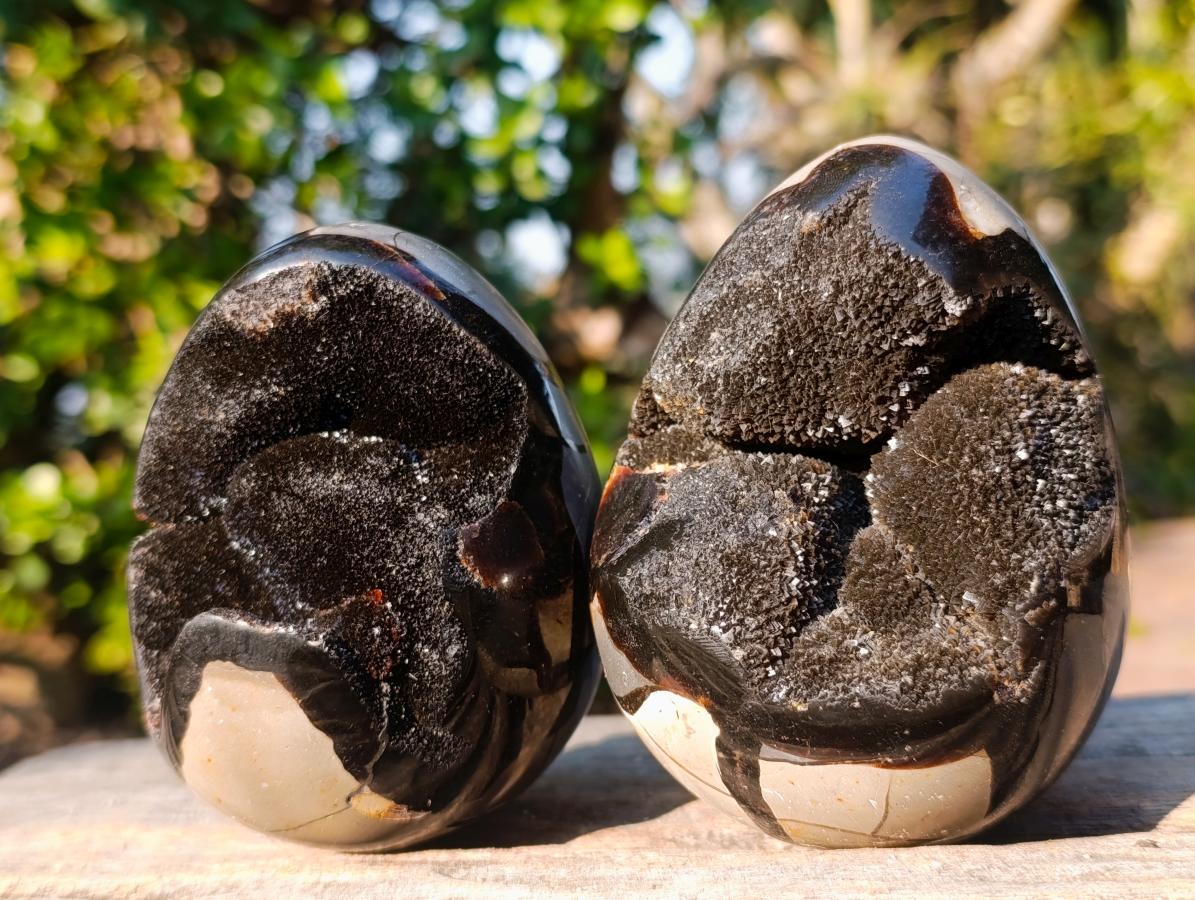 Polished and Natural Small Septerye Sauvage "Dragons Egg" Geodes x 2 From Mahajanga, Madagascar