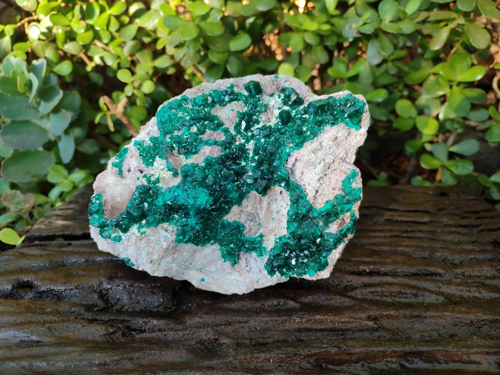 Natural XL Dioptase on Dolomite Specimen x 1 From Mashamba East Mine, Congo - Toprock Gemstones and Minerals 