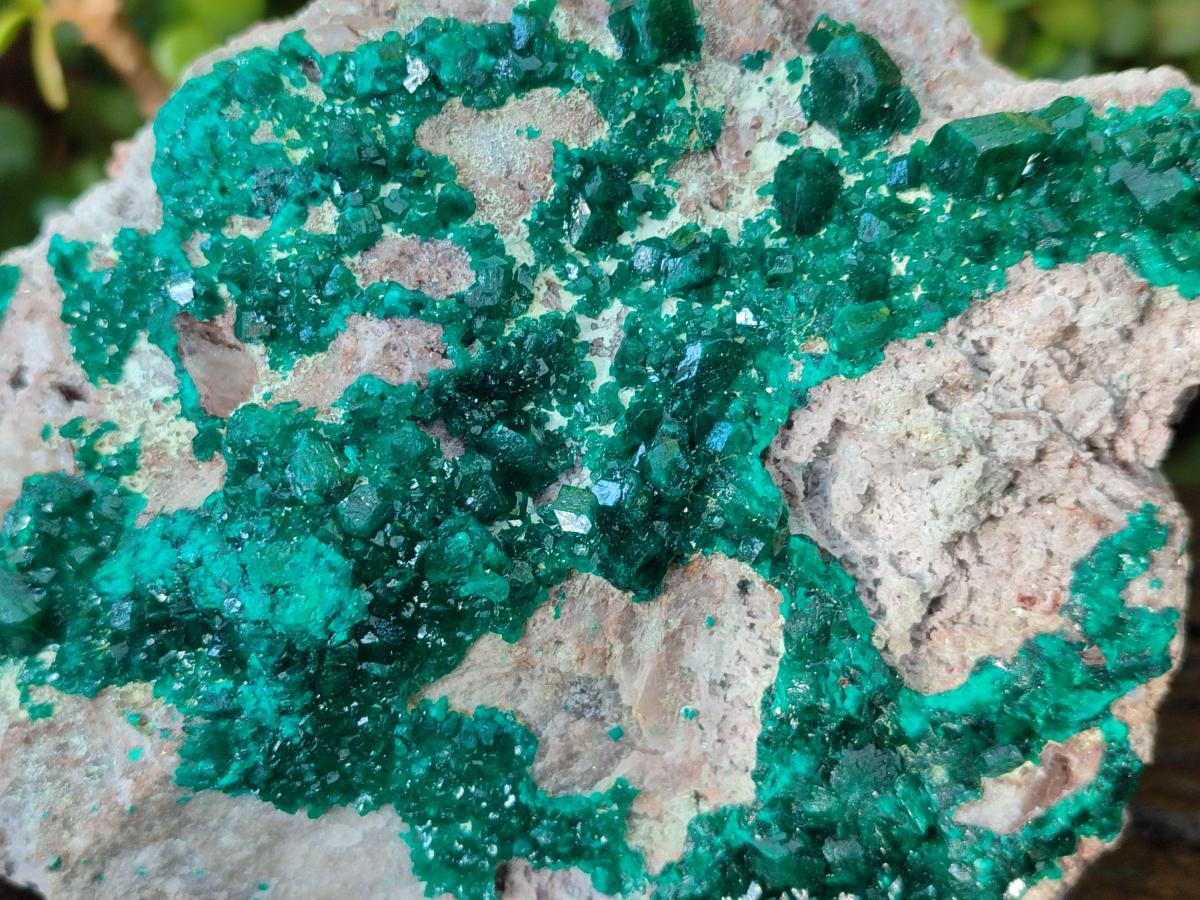 Natural XL Dioptase on Dolomite Specimen x 1 From Mashamba East Mine, Congo - Toprock Gemstones and Minerals 