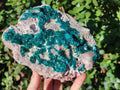Natural XL Dioptase on Dolomite Specimen x 1 From Mashamba East Mine, Congo - Toprock Gemstones and Minerals 