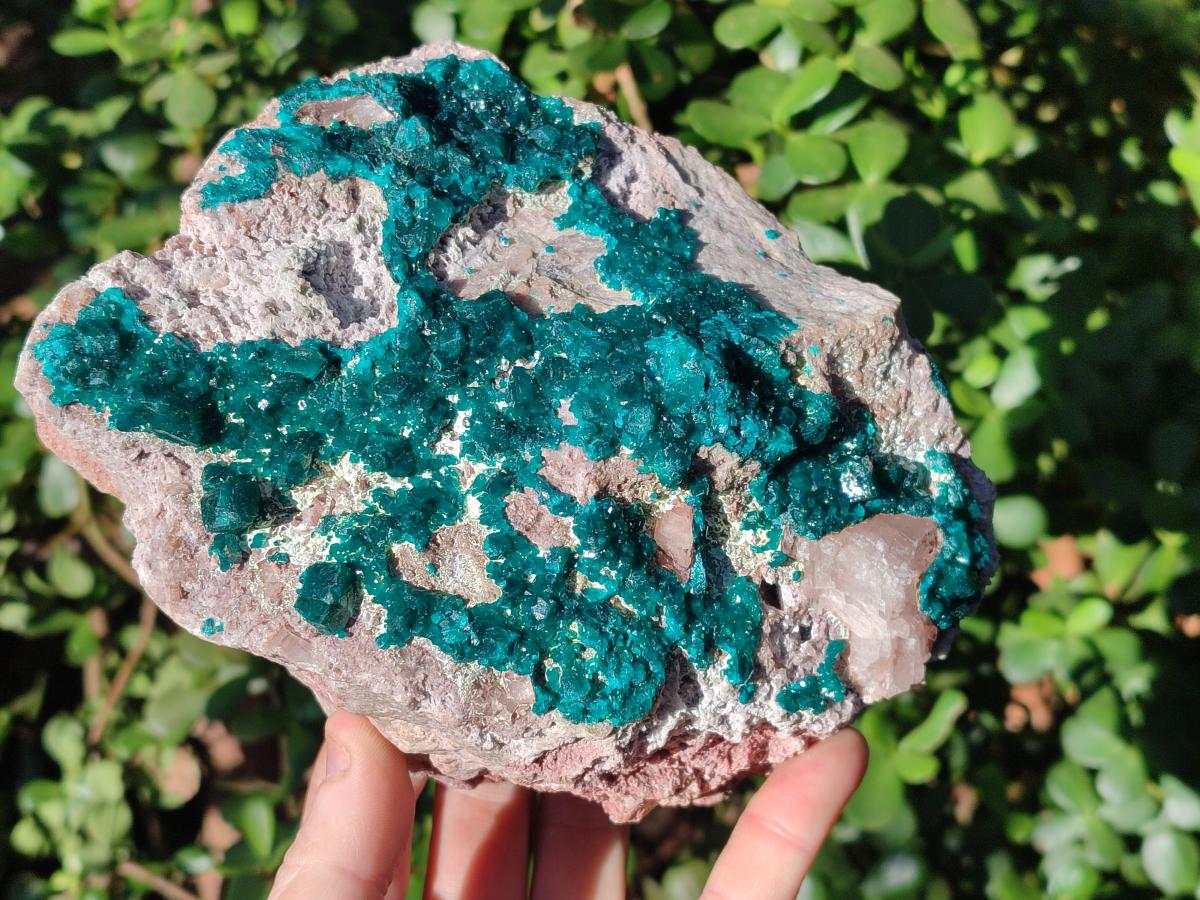 Natural XL Dioptase on Dolomite Specimen x 1 From Mashamba East Mine, Congo - Toprock Gemstones and Minerals 