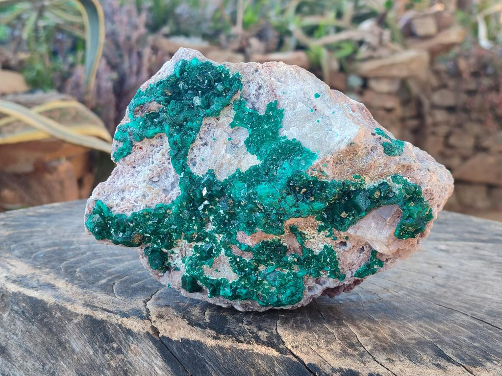 Natural XL Dioptase on Dolomite Specimen x 1 From Mashamba East Mine, Congo - Toprock Gemstones and Minerals 