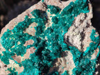 Natural XL Dioptase on Dolomite Specimen x 1 From Mashamba East Mine, Congo - Toprock Gemstones and Minerals 