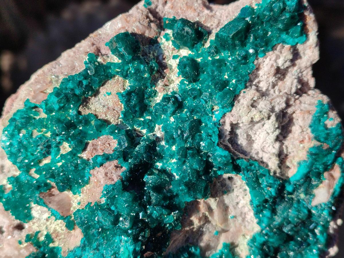 Natural XL Dioptase on Dolomite Specimen x 1 From Mashamba East Mine, Congo - Toprock Gemstones and Minerals 