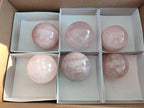 Polished Gemmy Star Rose Quartz Spheres x 6 From Ambatondrazaka, Madagascar - Toprock Gemstones and Minerals 