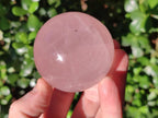 Polished Gemmy Star Rose Quartz Spheres x 6 From Ambatondrazaka, Madagascar - Toprock Gemstones and Minerals 
