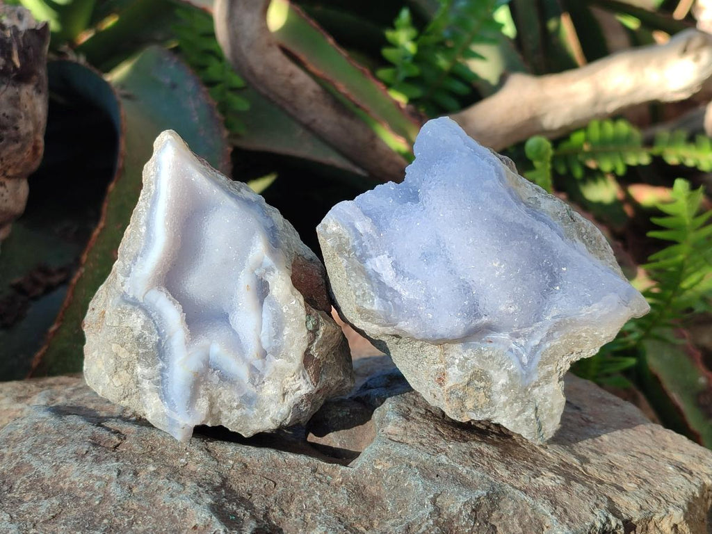 Natural Blue Lace Agate Geode Specimens x 6 From Nsanje, Malawi - Toprock Gemstones and Minerals 
