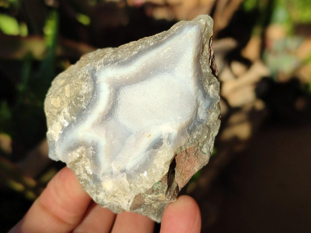 Natural Blue Lace Agate Geode Specimens x 6 From Nsanje, Malawi - Toprock Gemstones and Minerals 