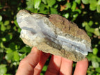 Natural Blue Lace Agate Geode Specimens x 6 From Nsanje, Malawi - Toprock Gemstones and Minerals 