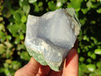 Natural Blue Lace Agate Geode Specimens x 6 From Nsanje, Malawi - Toprock Gemstones and Minerals 