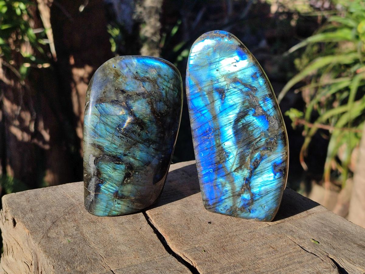 Polished Labradorite Standing Display Pieces x 3 From Madagascar - Toprock Gemstones and Minerals 
