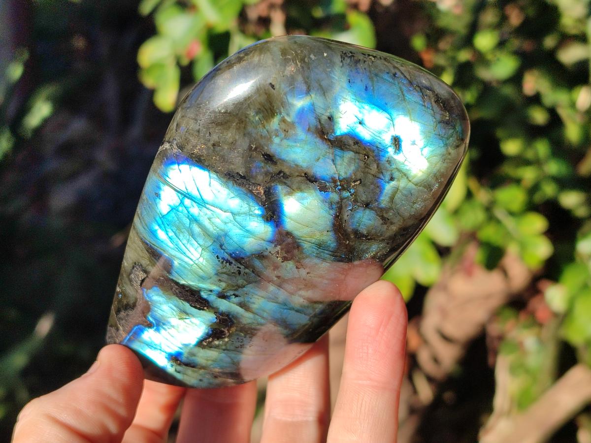 Polished Labradorite Standing Display Pieces x 3 From Madagascar - Toprock Gemstones and Minerals 
