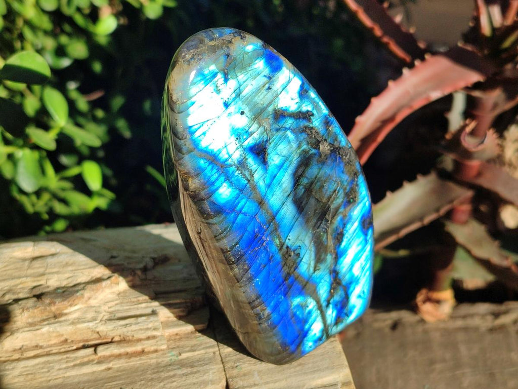 Polished Labradorite Standing Display Pieces x 3 From Madagascar - Toprock Gemstones and Minerals 