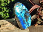 Polished Labradorite Standing Display Pieces x 3 From Madagascar - Toprock Gemstones and Minerals 