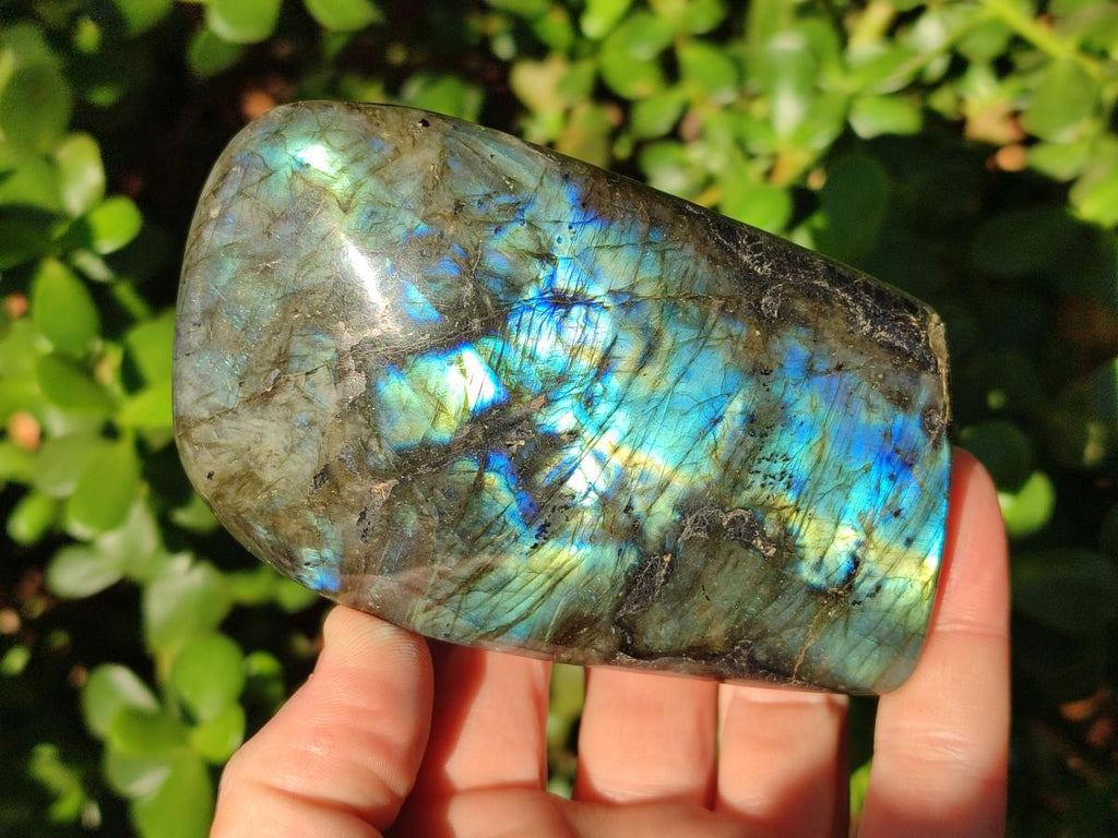 Polished Labradorite Standing Display Pieces x 3 From Madagascar - Toprock Gemstones and Minerals 