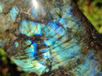 Polished Labradorite Standing Display Pieces x 3 From Madagascar - Toprock Gemstones and Minerals 