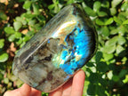 Polished Labradorite Standing Display Pieces x 3 From Madagascar - Toprock Gemstones and Minerals 