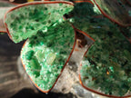 Hand Made Twin Gemstone Protea Stone Art Trees x 2 From South Africa - Toprock Gemstones and Minerals 