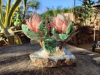 Hand Made Twin Gemstone Protea Stone Art Trees x 2 From South Africa - Toprock Gemstones and Minerals 