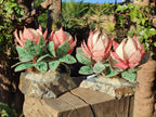 Hand Made Twin Gemstone Protea Stone Art Trees x 2 From South Africa - Toprock Gemstones and Minerals 