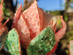 Hand Made Twin Gemstone Protea Stone Art Trees x 2 From South Africa - Toprock Gemstones and Minerals 