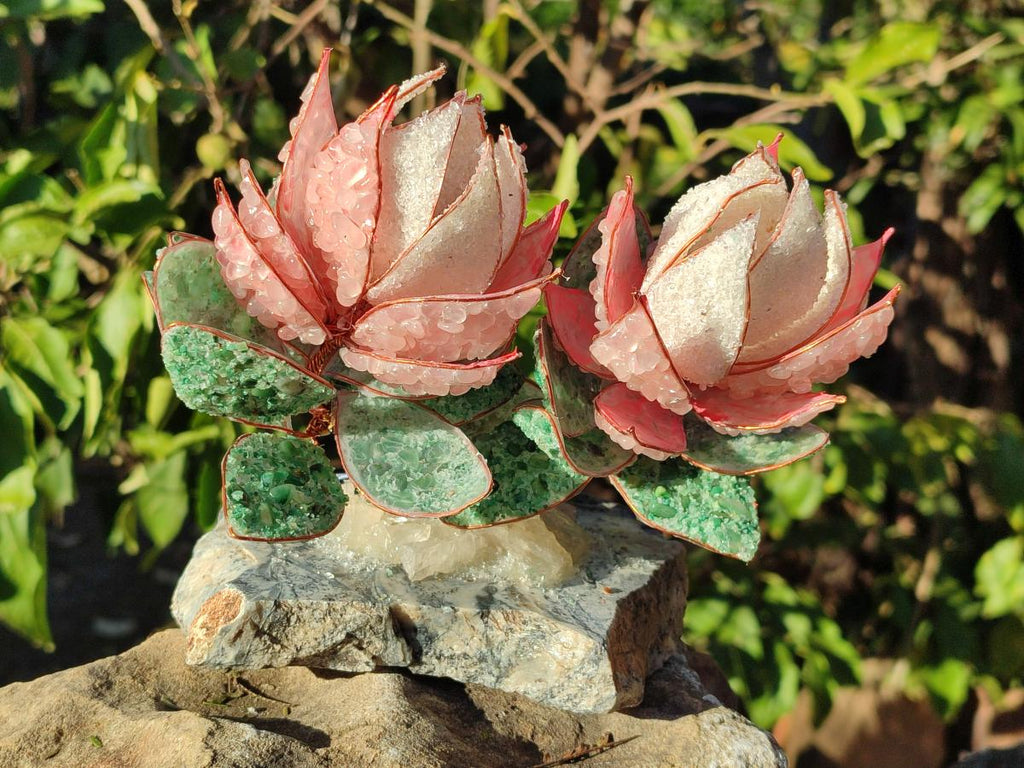 Hand Made Twin Gemstone Protea Stone Art Trees x 2 From South Africa - Toprock Gemstones and Minerals 