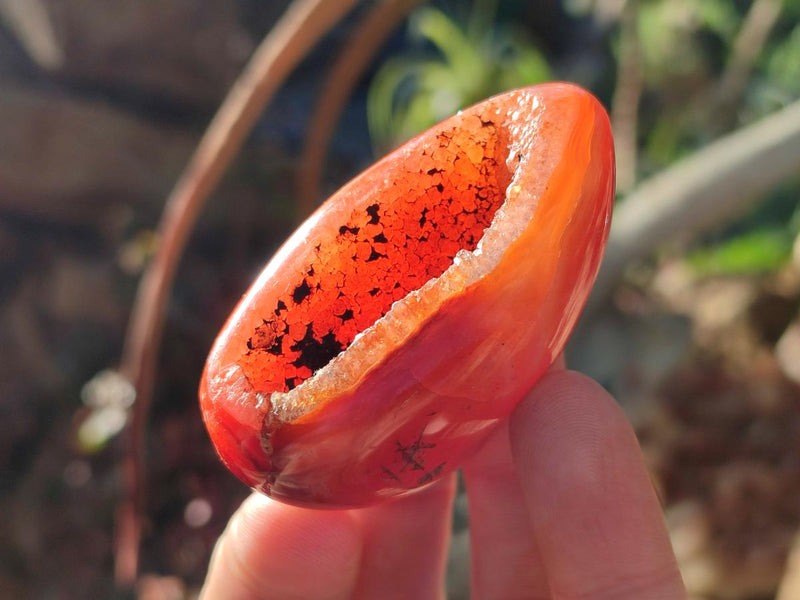 Polished and Natural Carnelian Agate Gemstone Galets x 24 From Madagascar - Toprock Gemstones and Minerals 