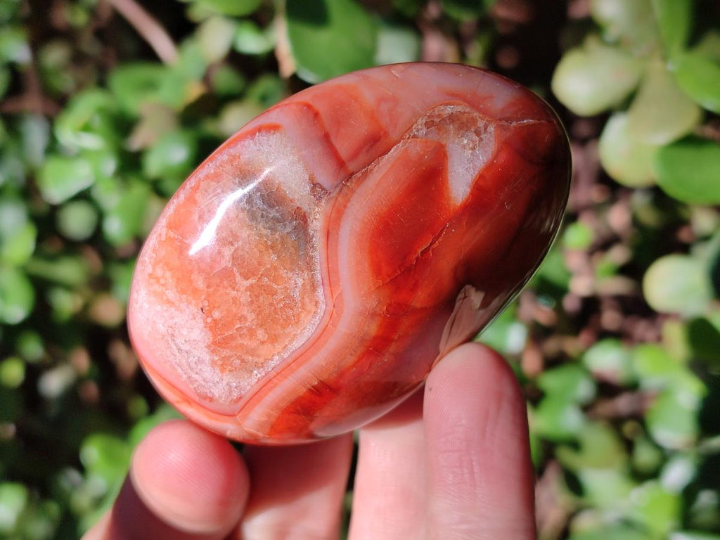 Polished and Natural Carnelian Agate Gemstone Galets x 24 From Madagascar - Toprock Gemstones and Minerals 