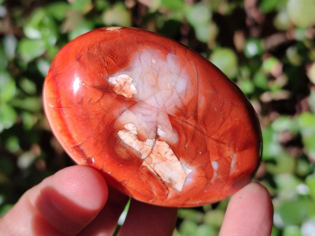 Polished and Natural Carnelian Agate Gemstone Galets x 24 From Madagascar - Toprock Gemstones and Minerals 
