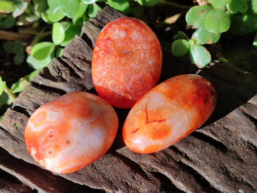Polished and Natural Carnelian Agate Gemstone Galets x 24 From Madagascar - Toprock Gemstones and Minerals 
