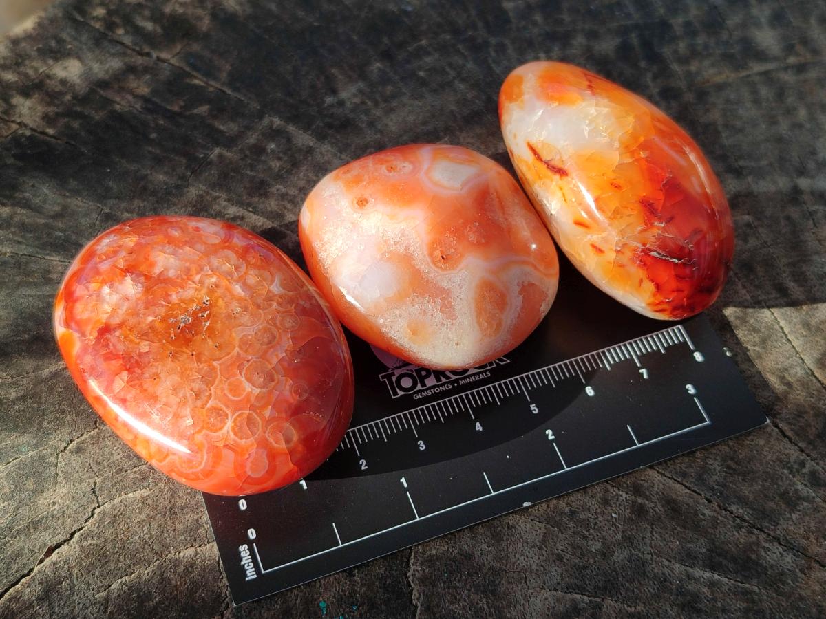 Polished and Natural Carnelian Agate Gemstone Galets x 24 From Madagascar - Toprock Gemstones and Minerals 