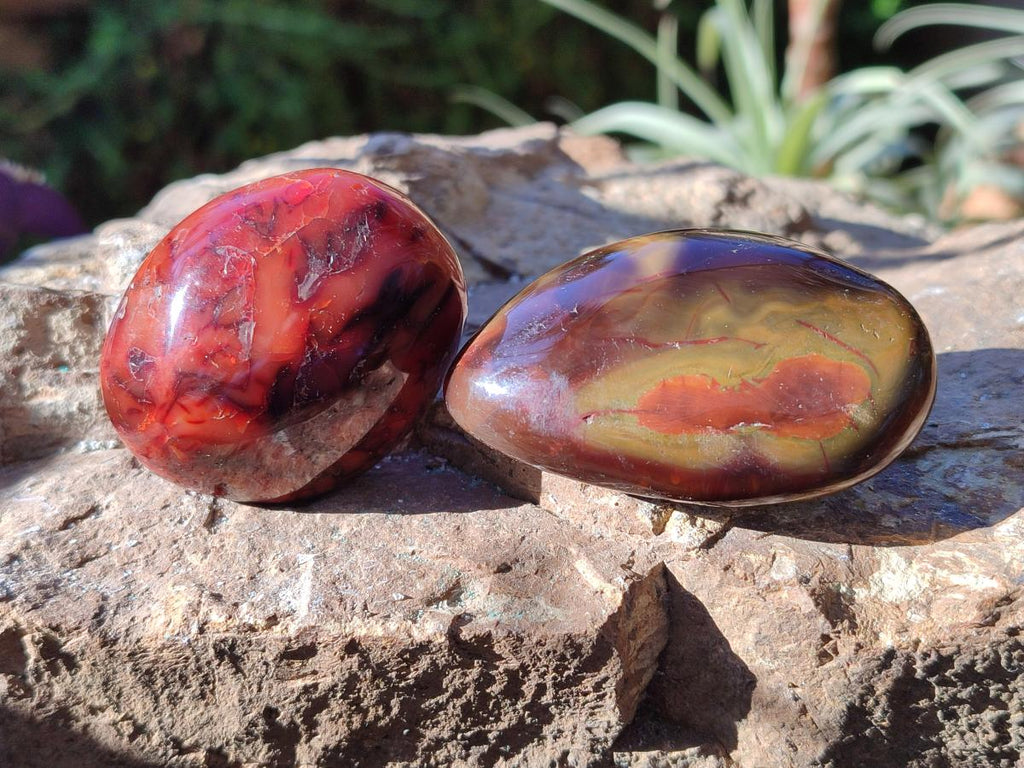 Polished and Natural Carnelian Agate Gemstone Galets x 24 From Madagascar - Toprock Gemstones and Minerals 