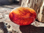 Polished and Natural Carnelian Agate Gemstone Galets x 24 From Madagascar - Toprock Gemstones and Minerals 