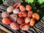 Polished and Natural Carnelian Agate Gemstone Galets x 24 From Madagascar - Toprock Gemstones and Minerals 