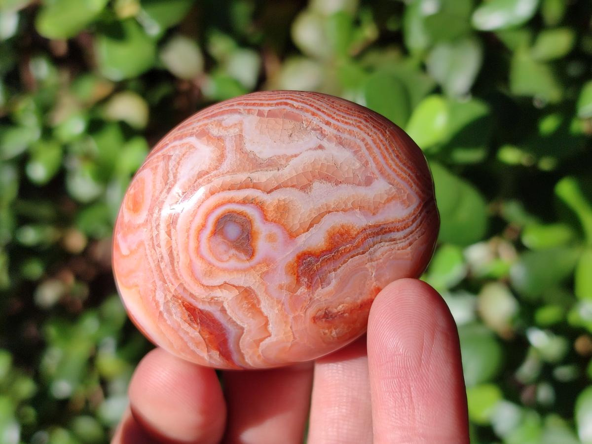 Polished and Natural Carnelian Agate Gemstone Galets x 24 From Madagascar - Toprock Gemstones and Minerals 