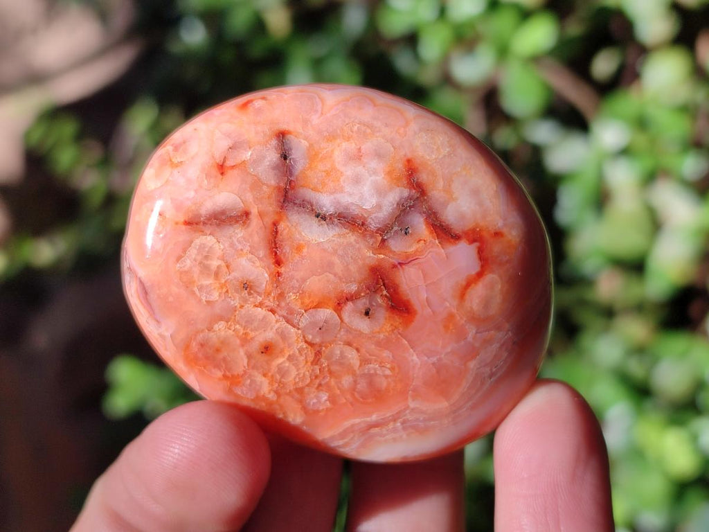 Polished and Natural Carnelian Agate Gemstone Galets x 24 From Madagascar - Toprock Gemstones and Minerals 