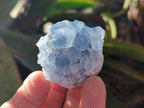 Natural Blue Celestite Specimens x 47 From Sakoany, Madagascar - Toprock Gemstones and Minerals 
