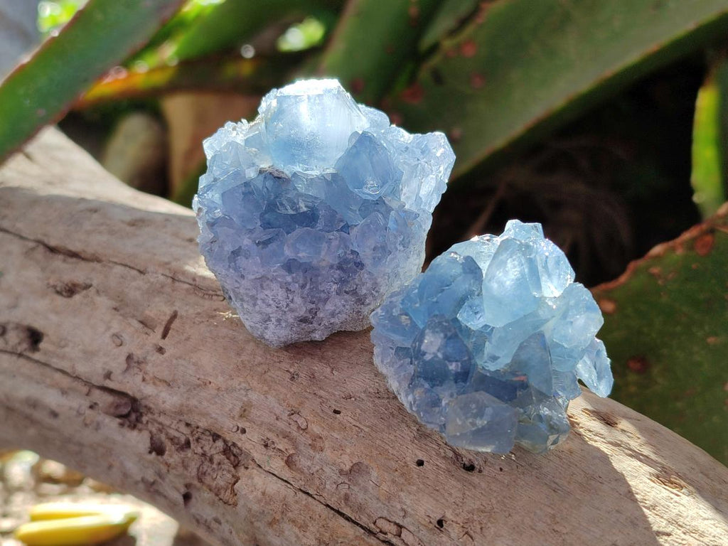 Natural Blue Celestite Specimens x 47 From Sakoany, Madagascar - Toprock Gemstones and Minerals 