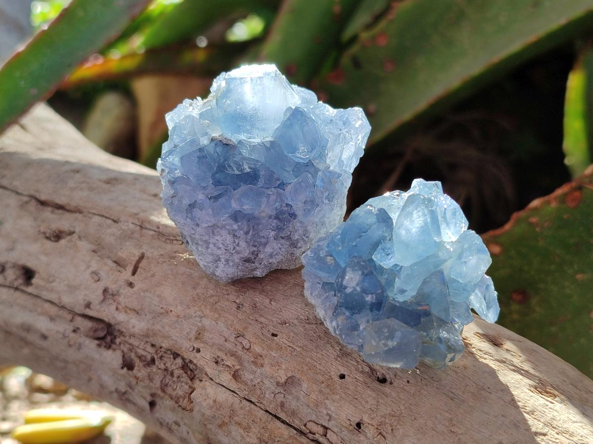 Natural Blue Celestite Specimens x 47 From Sakoany, Madagascar - Toprock Gemstones and Minerals 