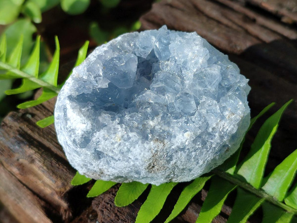 Natural Blue Celestite Specimens x 47 From Sakoany, Madagascar - Toprock Gemstones and Minerals 