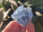 Natural Blue Celestite Specimens x 47 From Sakoany, Madagascar - Toprock Gemstones and Minerals 