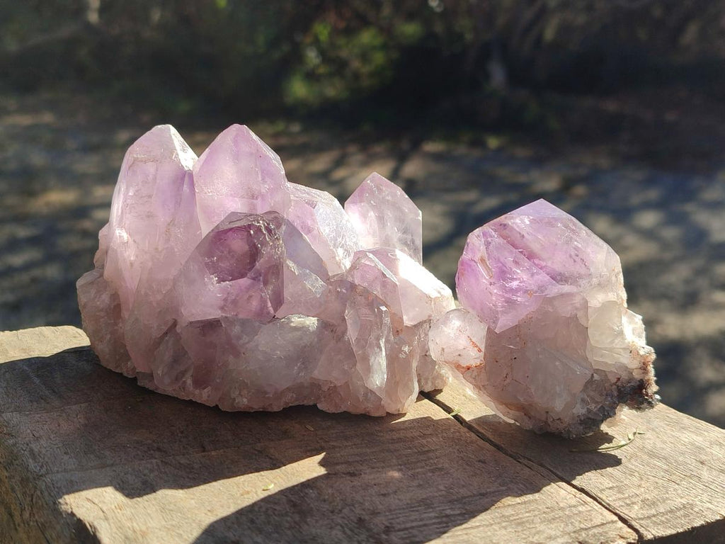 Natural Jacaranda Amethyst Clusters x 6 From Mumbwa, Zambia - Toprock Gemstones and Minerals 