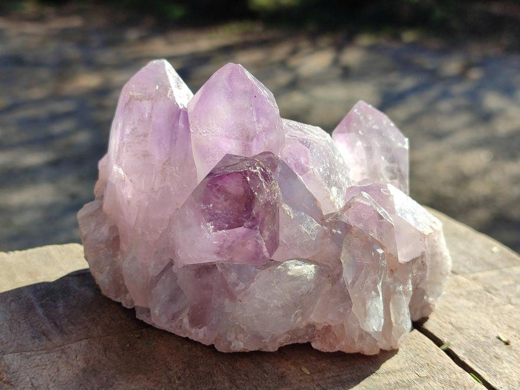 Natural Jacaranda Amethyst Clusters x 6 From Mumbwa, Zambia - Toprock Gemstones and Minerals 