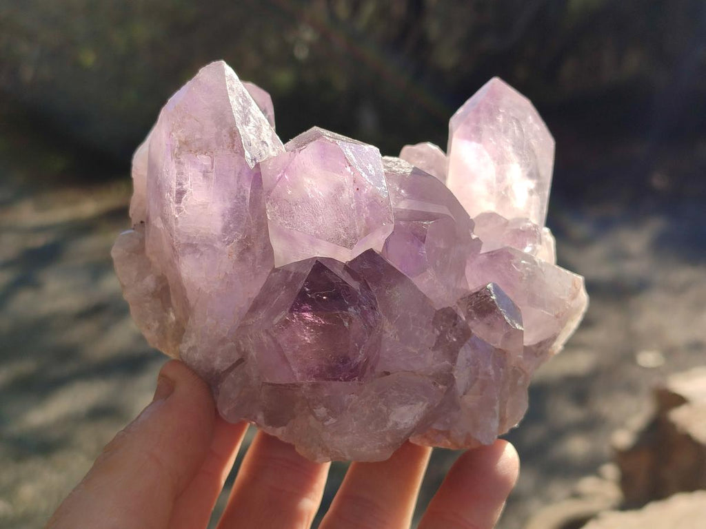 Natural Jacaranda Amethyst Clusters x 6 From Mumbwa, Zambia - Toprock Gemstones and Minerals 
