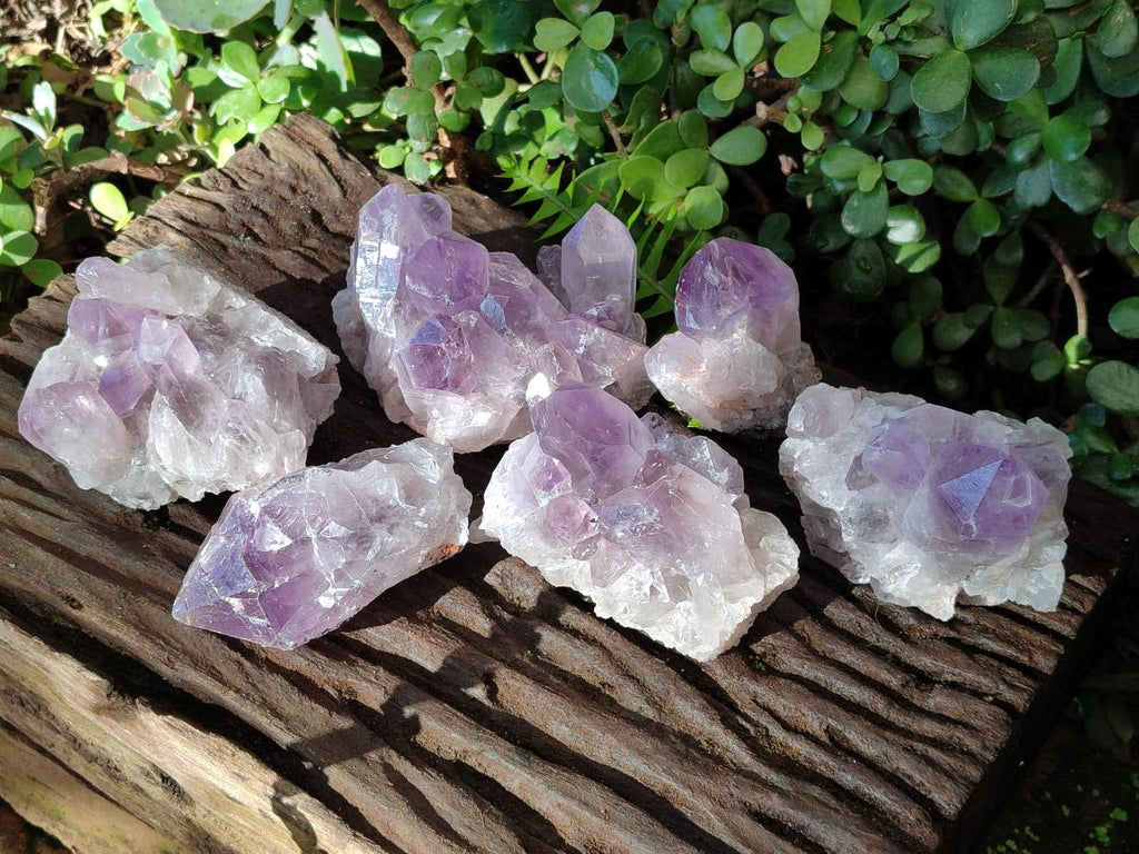 Natural Jacaranda Amethyst Clusters x 6 From Mumbwa, Zambia - Toprock Gemstones and Minerals 