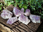 Natural Jacaranda Amethyst Clusters x 6 From Mumbwa, Zambia - Toprock Gemstones and Minerals 