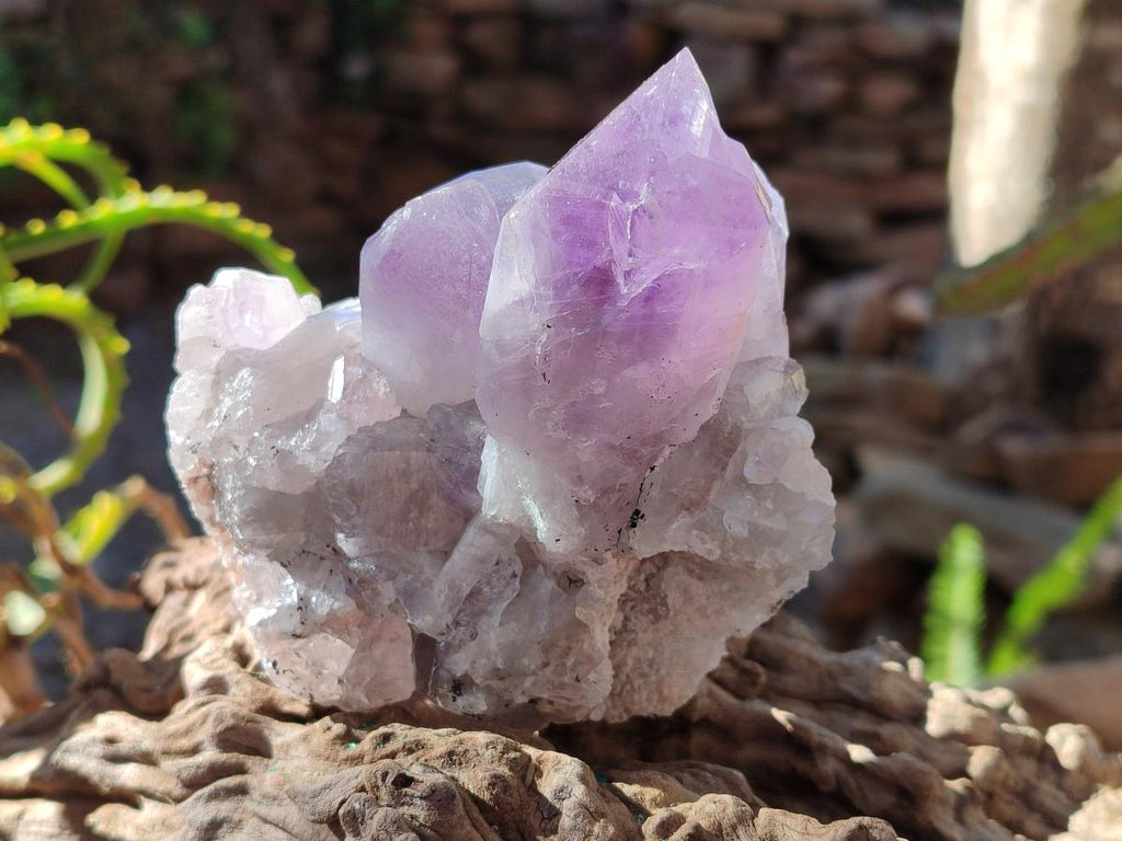 Natural Jacaranda Amethyst Clusters x 6 From Mumbwa, Zambia - Toprock Gemstones and Minerals 