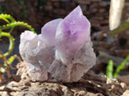 Natural Jacaranda Amethyst Clusters x 6 From Mumbwa, Zambia - Toprock Gemstones and Minerals 