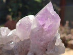 Natural Jacaranda Amethyst Clusters x 6 From Mumbwa, Zambia - Toprock Gemstones and Minerals 