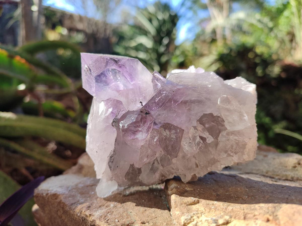Natural Jacaranda Amethyst Clusters x 6 From Mumbwa, Zambia - Toprock Gemstones and Minerals 